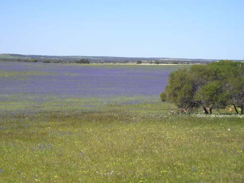 P9020105
