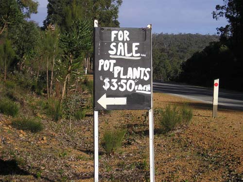P9030135
