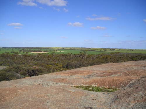 P9040149