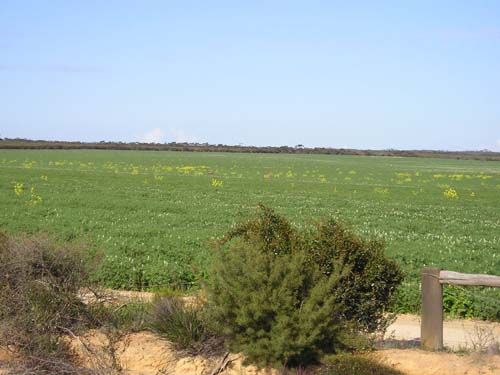 P9040158