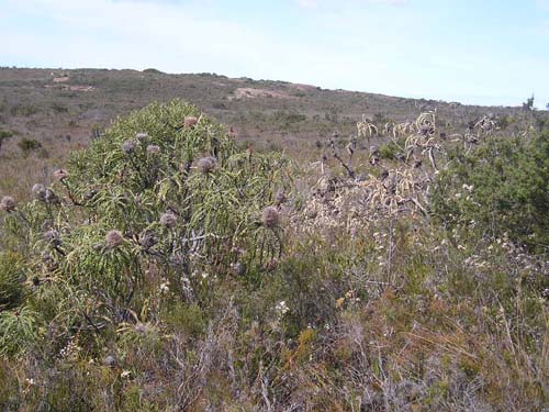 P9050197