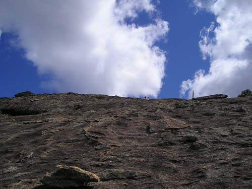 P9050203