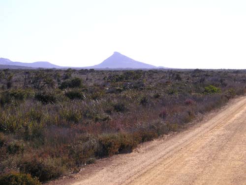 P9060251