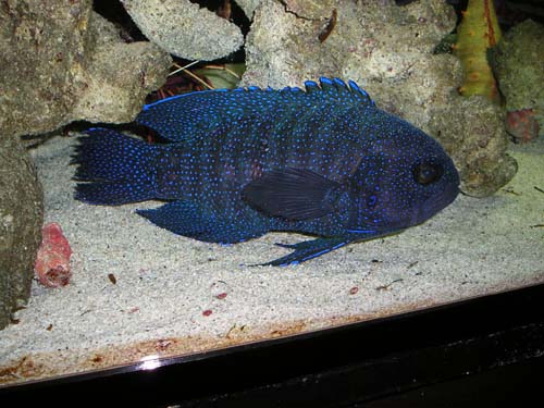 P9100514