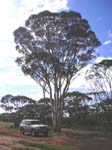 P9040164