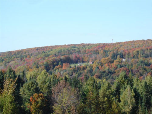 DSC00063